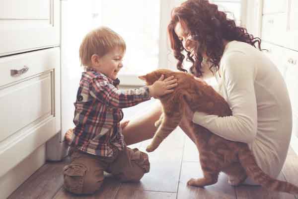 9 tips to keep Pets safe during Diwali