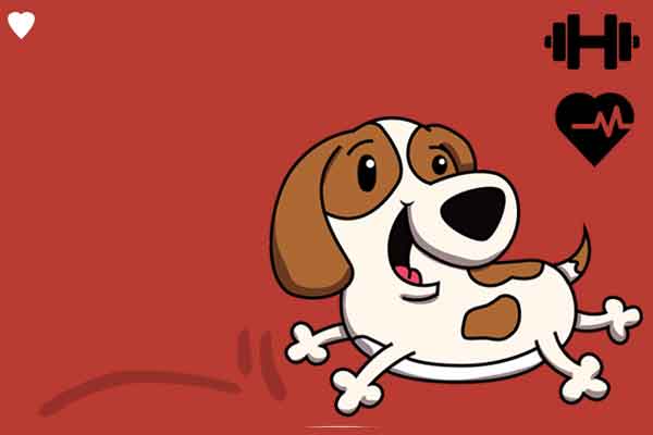 Chapter 1: Fonz teaches his 2 legged pet a FITNESS lesson