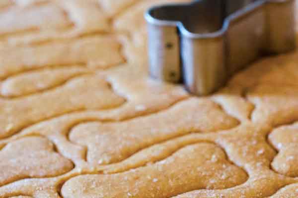 Quick Recipes for your pet (Smoothie & Meat Broth)