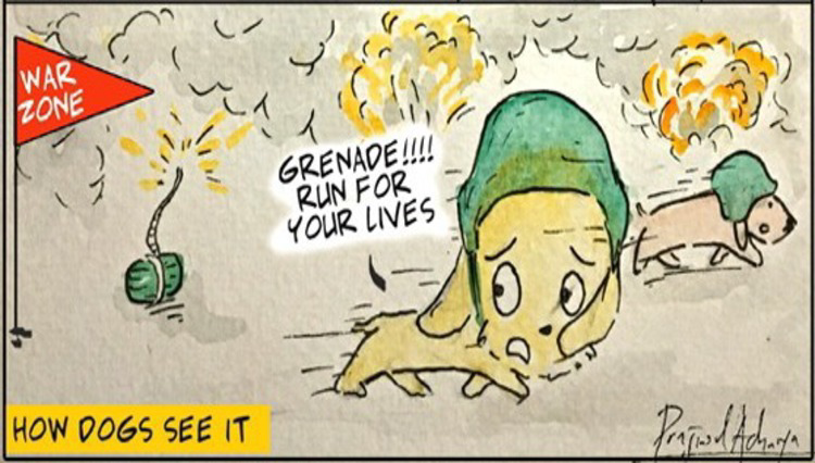 Season’s greetings: Let the light shine… sans the loud explosion