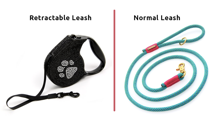 Which is better: the regular dog leash or the retractable leash?